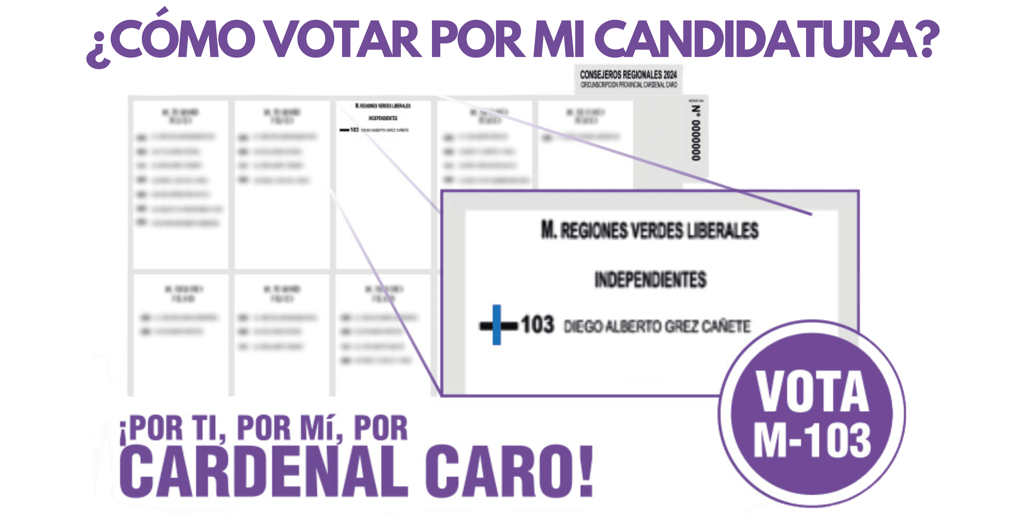 Lee más sobre el artículo Cómo votar para CORE en Cardenal Caro